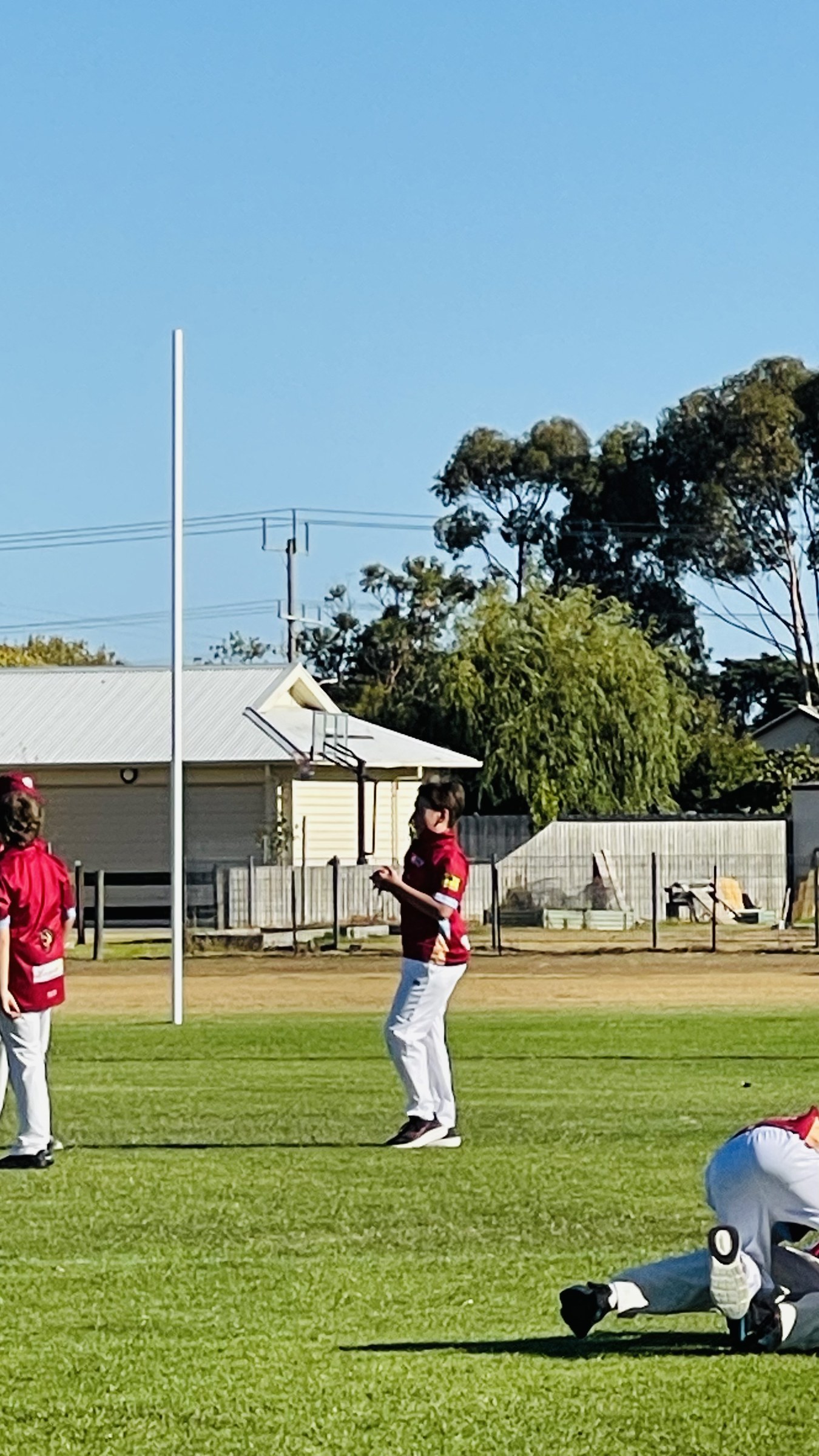 Junior cricket players on the oval with the pavilion in the background.