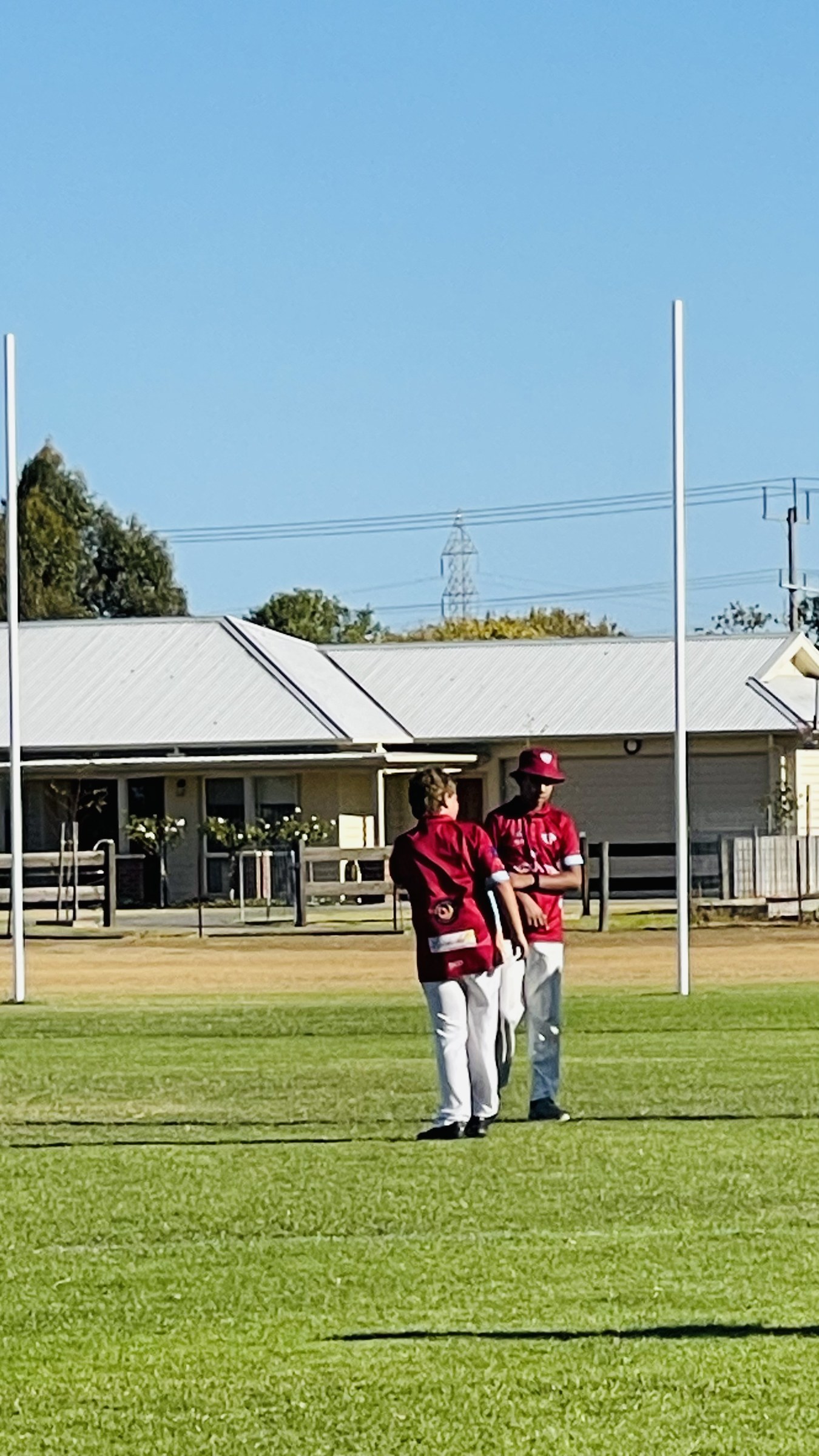 Junior players in maroon shirts and white trousers on the cricket oval.